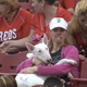 Illustration for article titled Three Good Dogs At The Reds Game